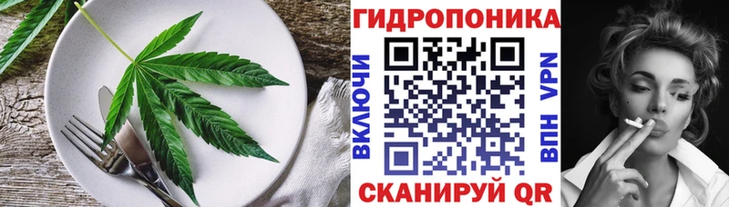 blacksprut сайт  Протвино  Cannafood конопля 