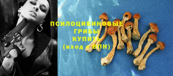 шишки Алексин