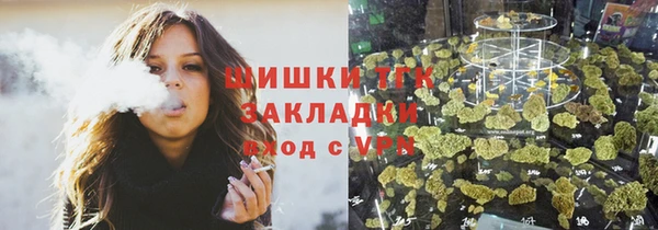 шишки Алексин