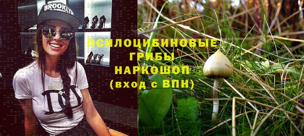 круглые Алзамай