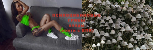 шишки Алексин